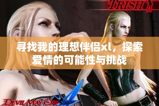 寻找我的理想伴侣xl，探索爱情的可能性与挑战