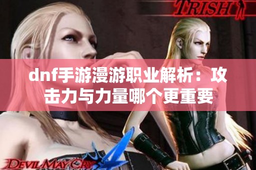 dnf手游漫游职业解析：攻击力与力量哪个更重要