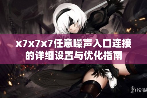 x7x7x7任意噪声入口连接的详细设置与优化指南