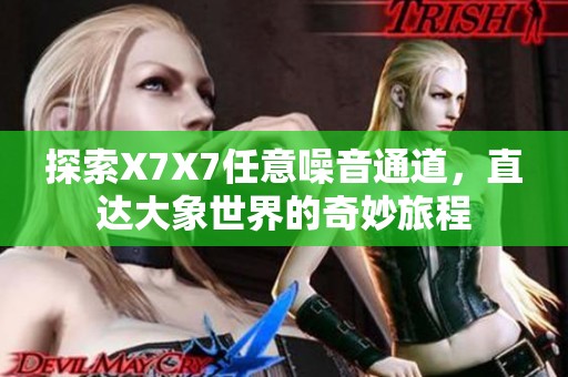 探索X7X7任意噪音通道，直达大象世界的奇妙旅程