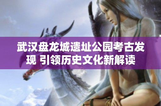 武汉盘龙城遗址公园考古发现 引领历史文化新解读